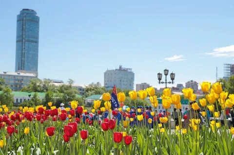 Когда будет в екатеринбурге лето