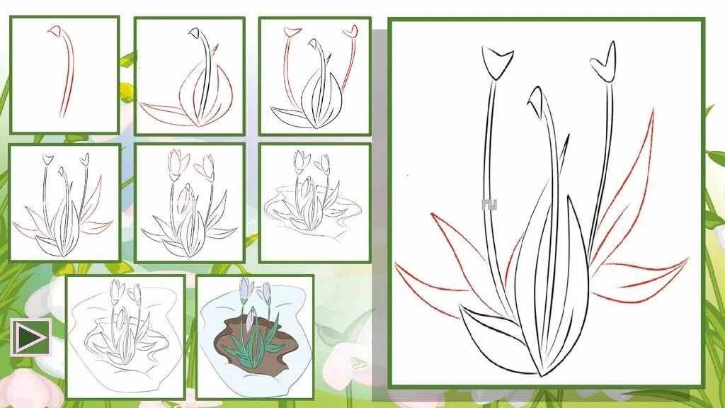 Рисуем подснежники поэтапно презентация. Подснежники рисунок. Рисование подснежники. Подснежник поэтапное рисование 1 класс. Первоцветы карандашом для срисовки.