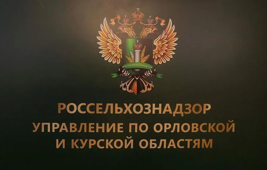 Сайт россельхознадзора по орловской и курской. Россельхознадзор Орловской области. Россельхознадзор Орел. Управление Россельхознадзора по Орловской и Курской областям. Федеральная служба по ветеринарному и фитосанитарному надзору.