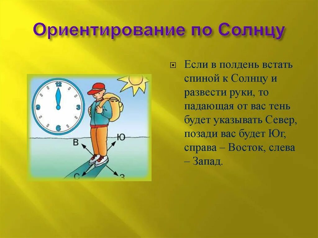 Если в полдень встать спиной к солнцу. Ориентироваться по солнцу. Ориентирование на местности по солнцу. Если в полдень встать.