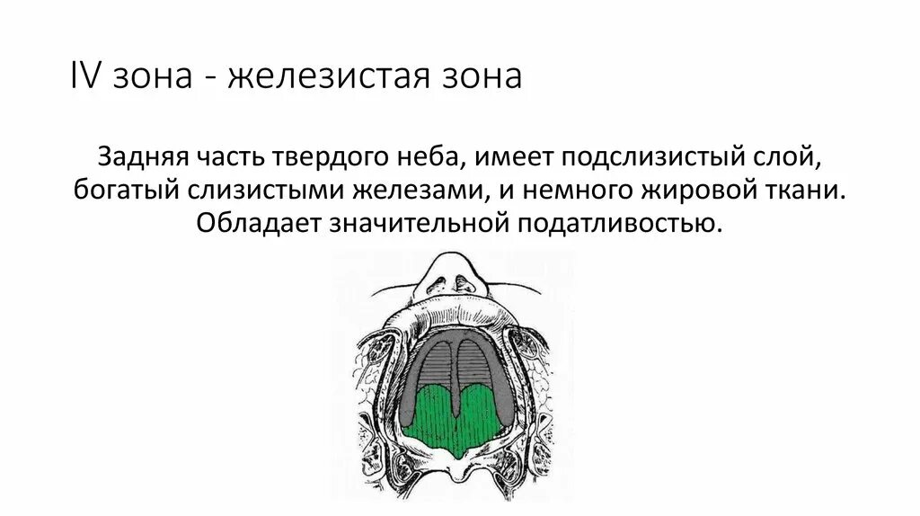 Зоны податливости слизистой оболочки по Люнду. Классификация зон податливости слизистой оболочки по Люнду. Зоны податливости слизистой оболочки верхней челюсти по Люнду. Классификация Люнда ортопедия. Люнд слизистой оболочки