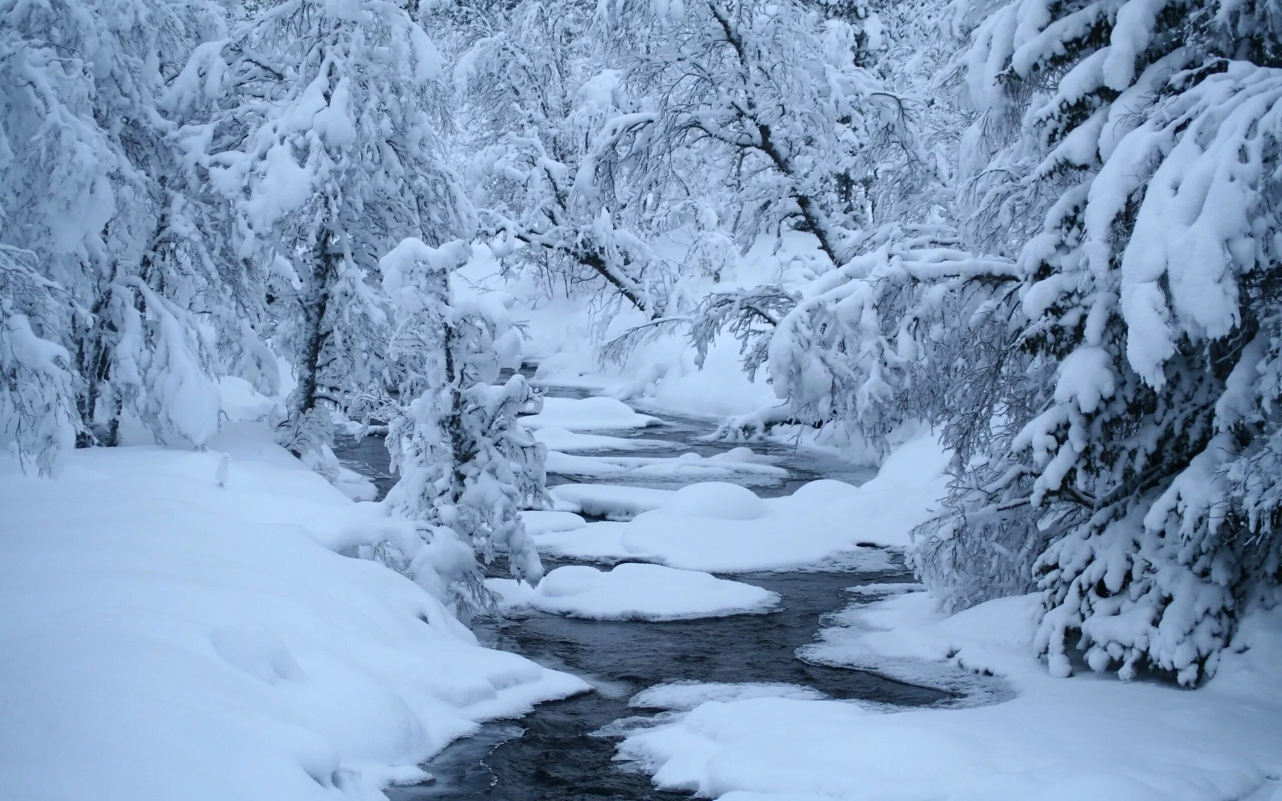 Snow is beautiful. Зима. Зимняя природа. Зимний лес. Зимняя река.