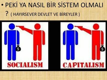 Main differences