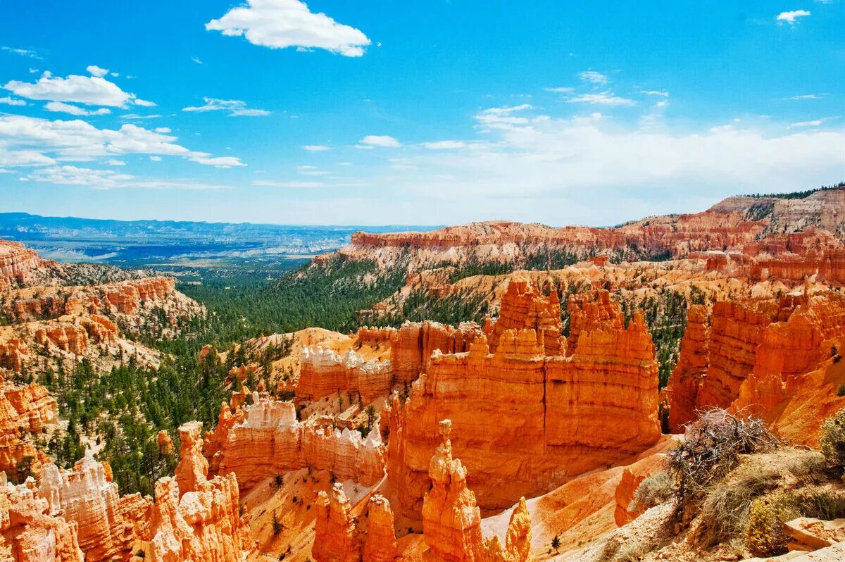 National park usa. Национальный парк Брайс-каньон США. Национальный парк Брайс-каньон, Юта, США. Национальный парк Брайс каньон Юта. Брайс-каньон, штат Юта парк.