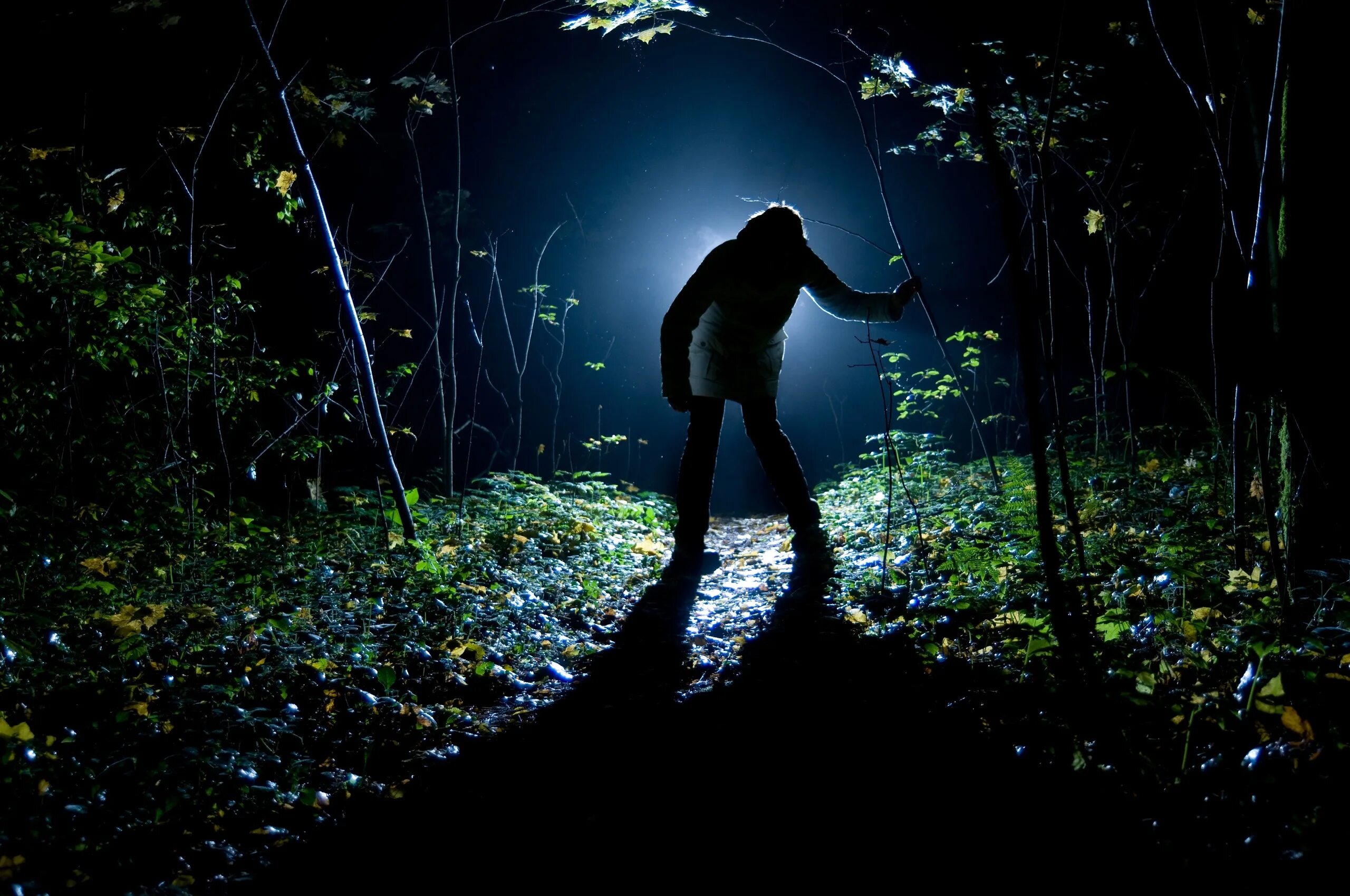 Ночной тропой постой а можно. Человек в ночном лесу. Человек с фонарем в лесу. Человек в лесу ночью. Человек с фонариком.