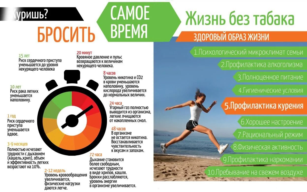 Программа выбираем жизнь