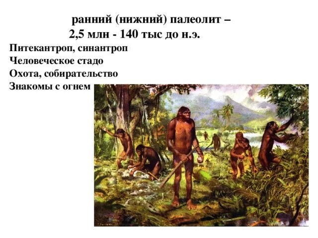 Кто возглавлял первобытное человеческое стадо. Кто возглавлял первобытное человеческое стадо. Первый коллектив древнейших людей. Первобытный человек и человеческое стадо. Хозяйство первобытных людей.