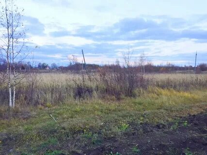 Погода в рязанцево