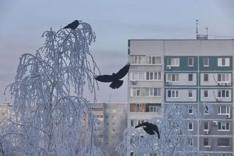 Похолодание в казани