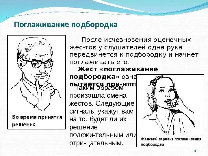 Маленький подбородок физиогномика. Описание подбородка криминалистика. Описание подбородка. Подбородок по ширине криминалистика. Подбородок криминалистика криминалистика.