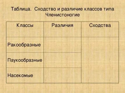 Назовите сходство и различие