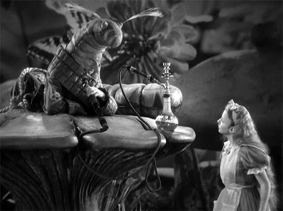 Close-up: Реальный персонаж Додо в "Алисе" Alice in wonderland, Adventures in wo