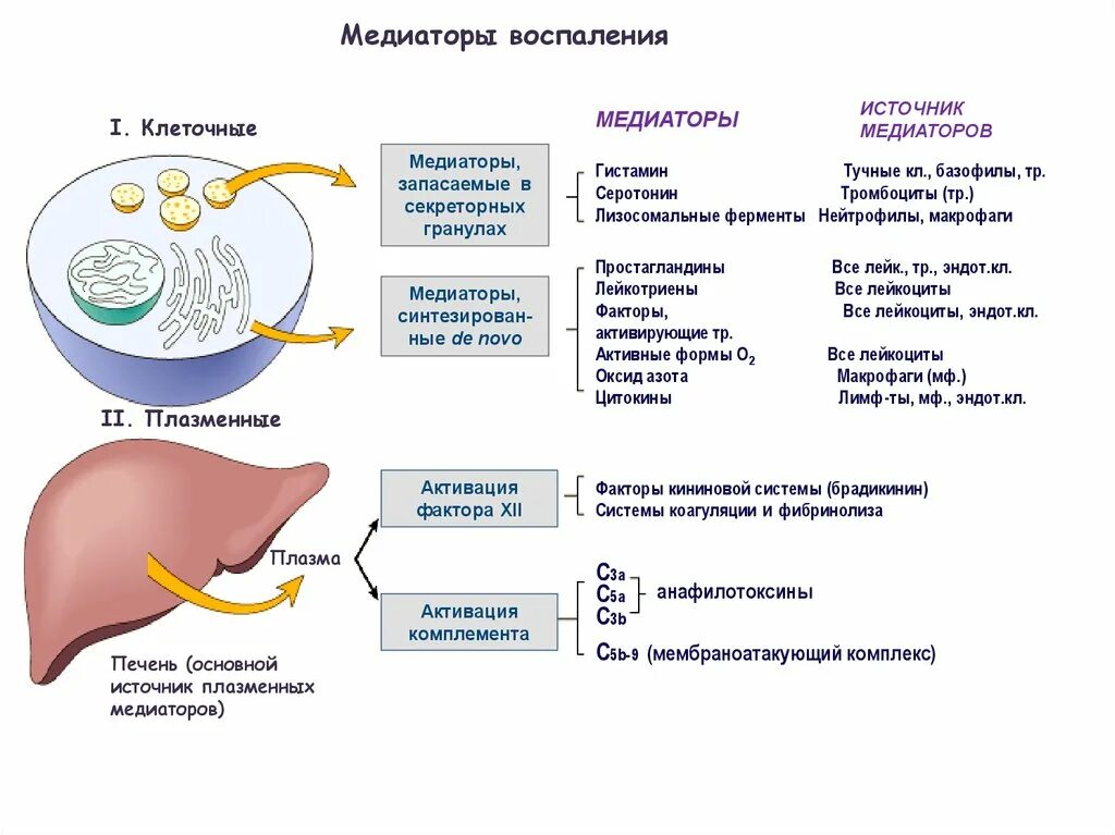 Клеточные медиаторы воспаления. Медиаторы воспаления гистамин серотонин. Основные эффекты медиаторов воспаления. Источники клеточных медиаторов воспаления. Основные эффекты медиаторов воспаления таблица.