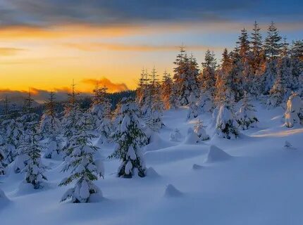 Many snow