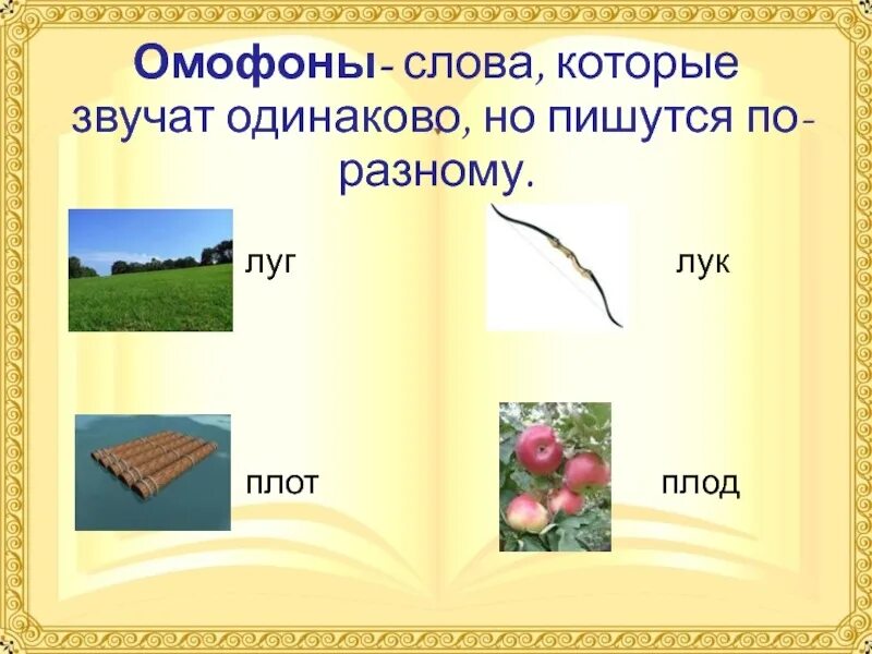 Слова одинаково пишутся но имеют разное значение. Слова которые звучат одинаково но пишутся по-разному. Омофоны.