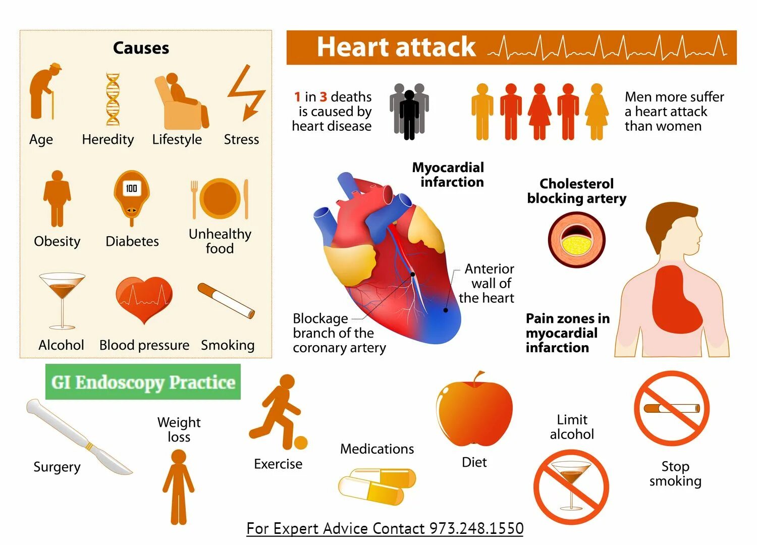Сердце для инфографики. Heart disease causes. Fatty plaque. Heart failure. Ишемическая болезнь сердца на английском языке.