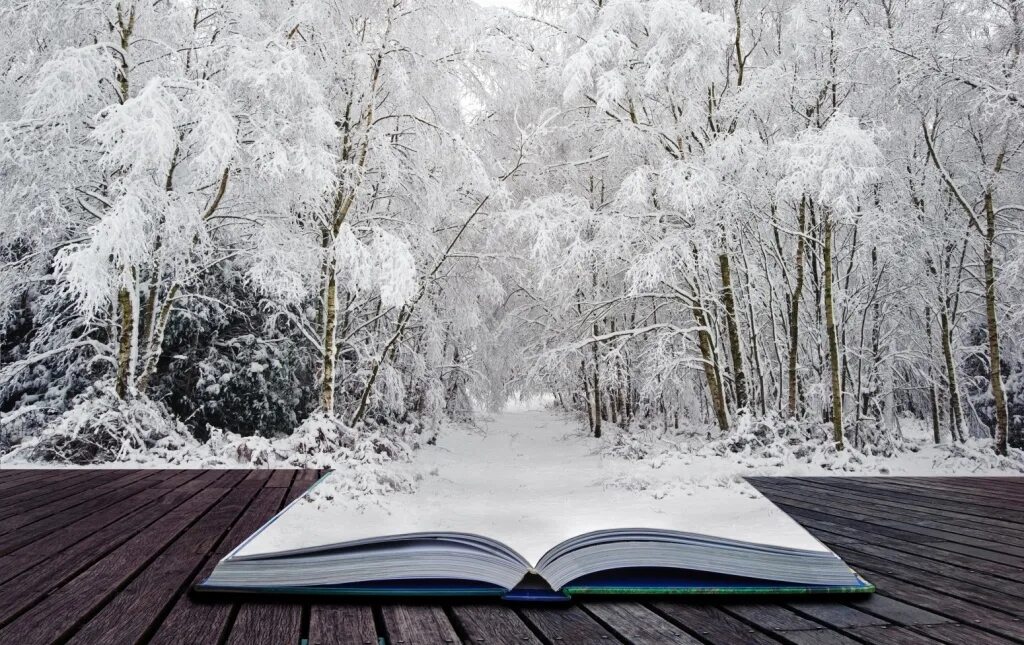 Книга зима картинки. Книги зима. книга на снегу. зимнее чтение. книга на зимнем фоне.