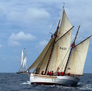 Golden sails