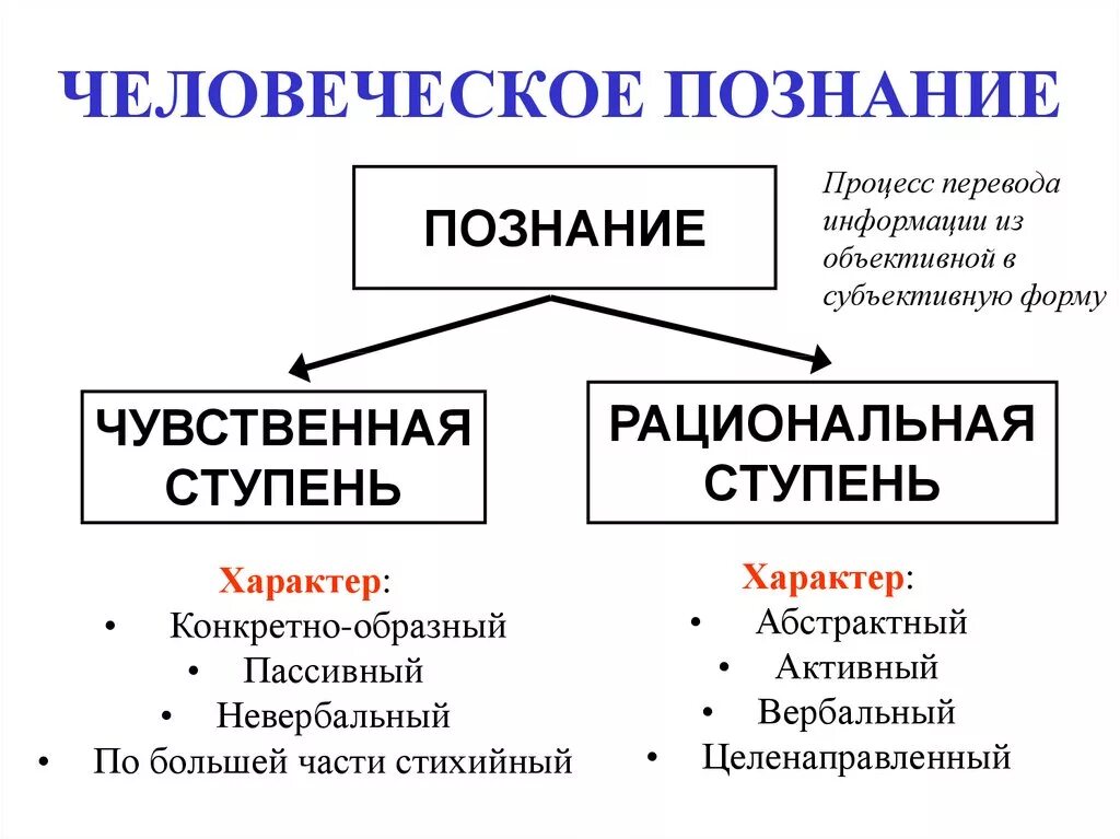 Рационально логическому познанию. Основные формы познания чувственное и рациональное познание. человеческое познание. ступень познания конкретно образное. познание конкретно-образное познание.