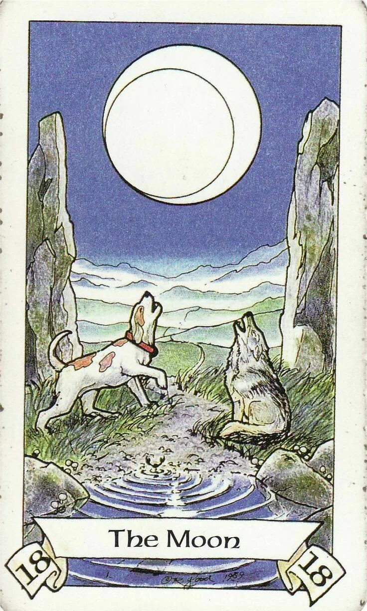 Луна в таро значение да или нет. Таро робина вуда галерея. 18 карта таро moon. таро the moon. карта таро луна.