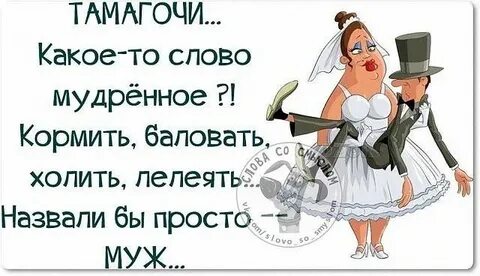 Холят и лелеют как пишется