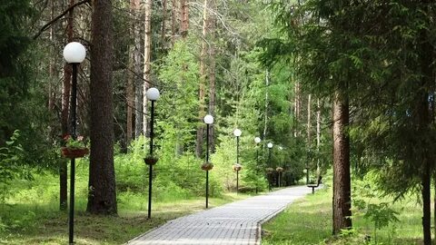 Неумывакин центр киров