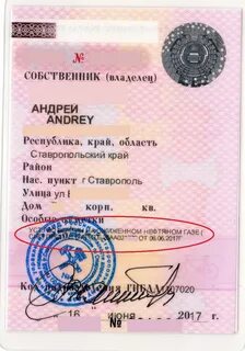 В свидетельство вписан