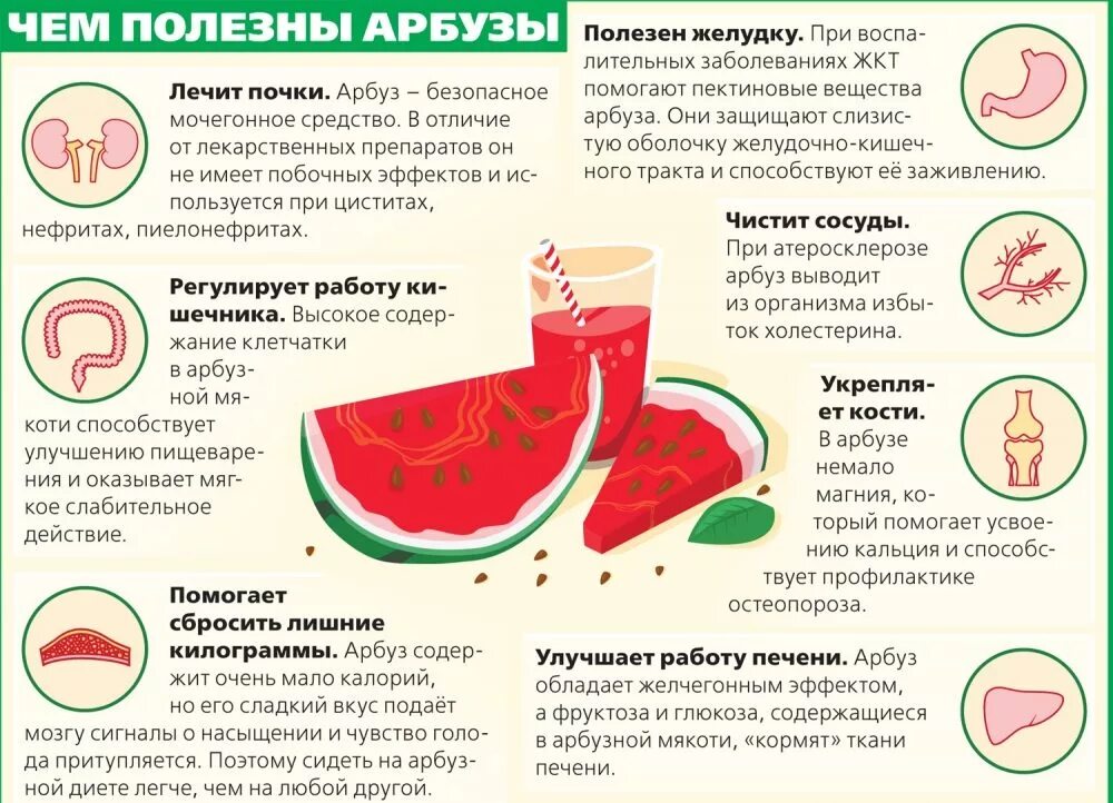 Почему нельзя кушать кровь. Чем полезен Арбуз. Польза арбуза. Чем полезен Арбуз для организма. Чем полезен Арбуз для человека.