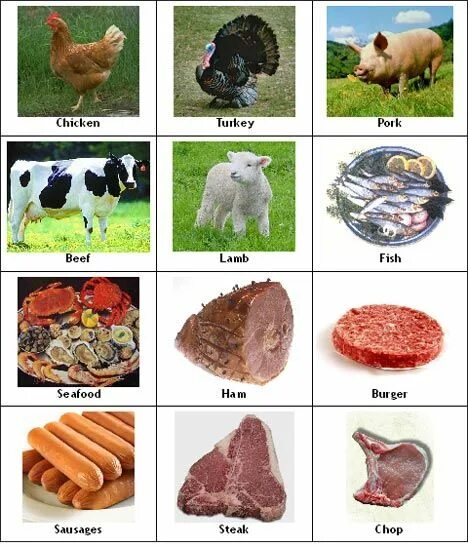 Мясо на английском языке. Мясо на английском. Виды мяса на английском. Мясо животных названия. Мясо животных на английском.