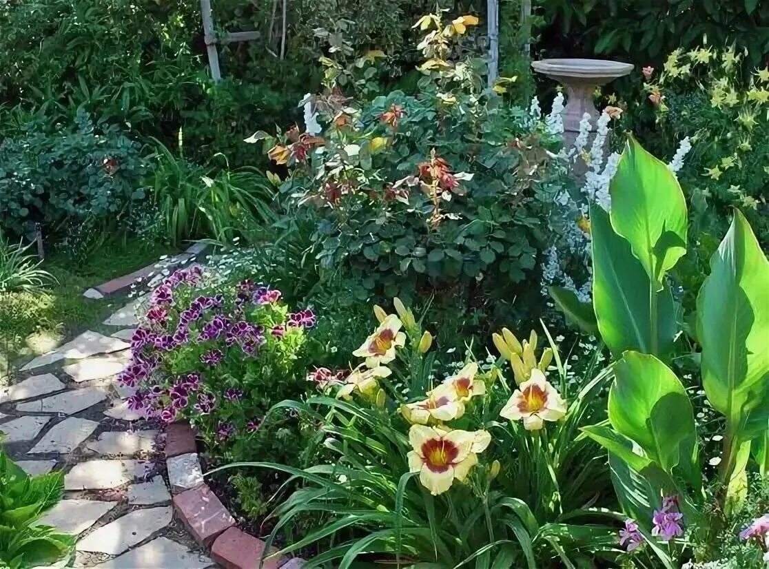Лилии в саду: фото, оформление участка, сочетание на клумбе с другими цветами
