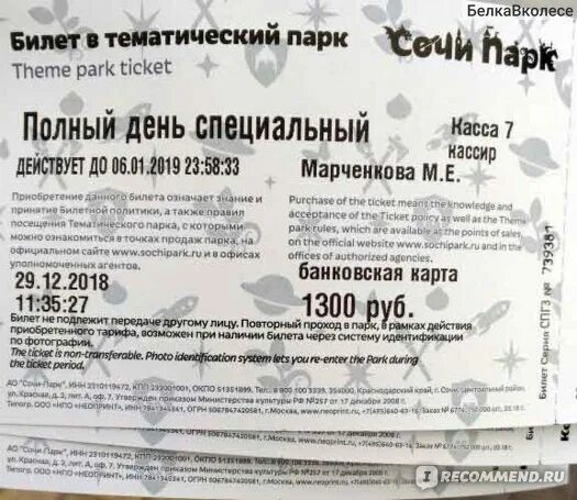 Льготные билеты для многодетных. Сочи парк билеты. сочи парк аттракционы входной билет. сочи парк детский билет. сочи парк входной билет.