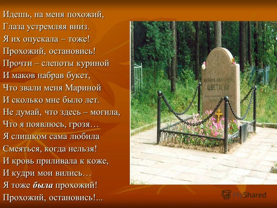 Прохожий остановись. Идёшь на меня похожий глаза устремляя вниз. стих ты идёшь на меня похожий. стих прохожий остановись. стихотворение прохожий.