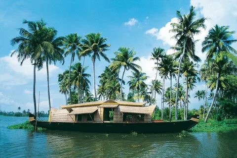 Back water