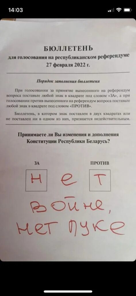 Референдумы срок