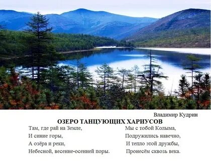 Толя смотрел в озеро ответы