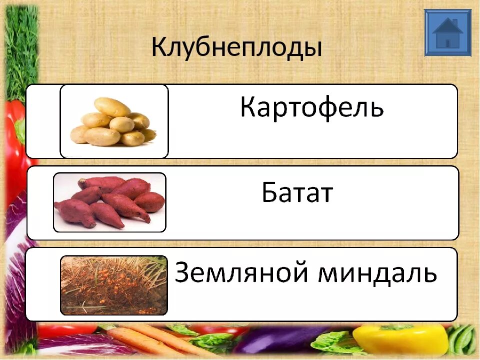 Какие овощи относятся к клубнеплодам. Овощи группы клубнеплоды. клубнеплоды список овощей. классификация клубнеплодов. овощи корнеплоды и клубнеплоды.