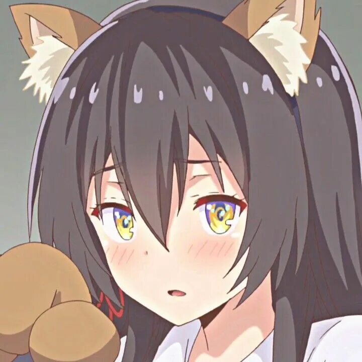 Готов ли ты влюбиться в извращенку до тех пор, пока она милая?. Sayuki tokihara. Kawaikereba / hensuki. Готов ли ты влюбиться в извращенку до тех пор, пока она милая? (2019). Sayuki tokihara.