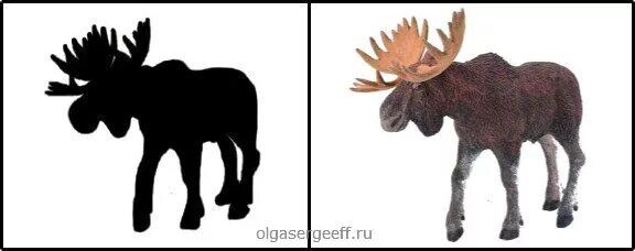 Тени диких животных для детей. Чья тень Дикие животные. Тень Лось для малышей. Дидактическая игра чья тень Дикие животные. Угадай чья тень Дикие животные