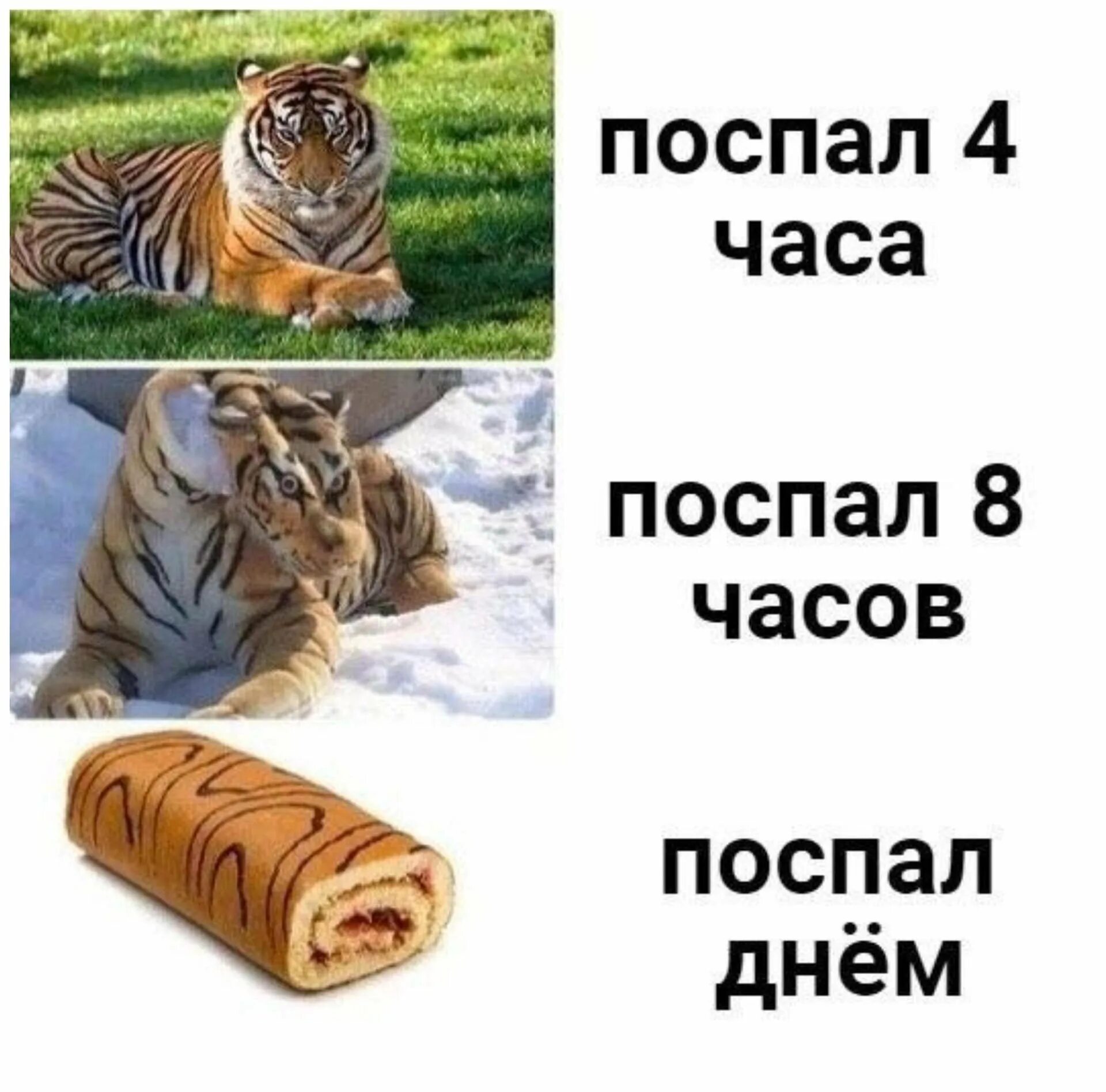 Поспал 8 часов