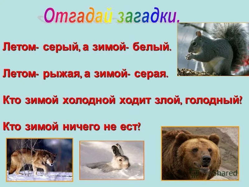 люди на улице зима. кто зимой холодной. загадка про гнома для детей 6-7 лет. кто зимой холодной ходит. кто зимой холодной ходит.