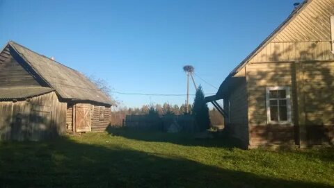 Доска объявлений псковская область бесплатные объявления