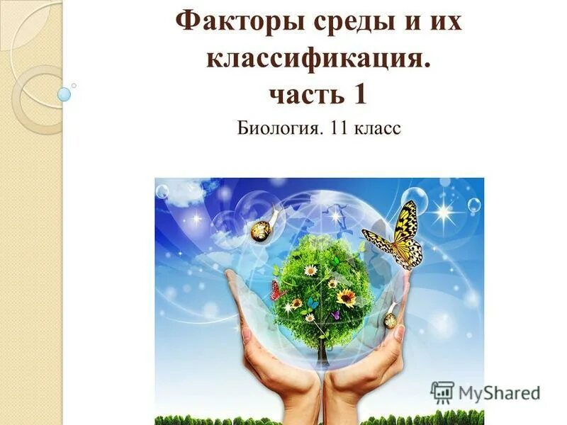 Факторы среды биология 11 класс