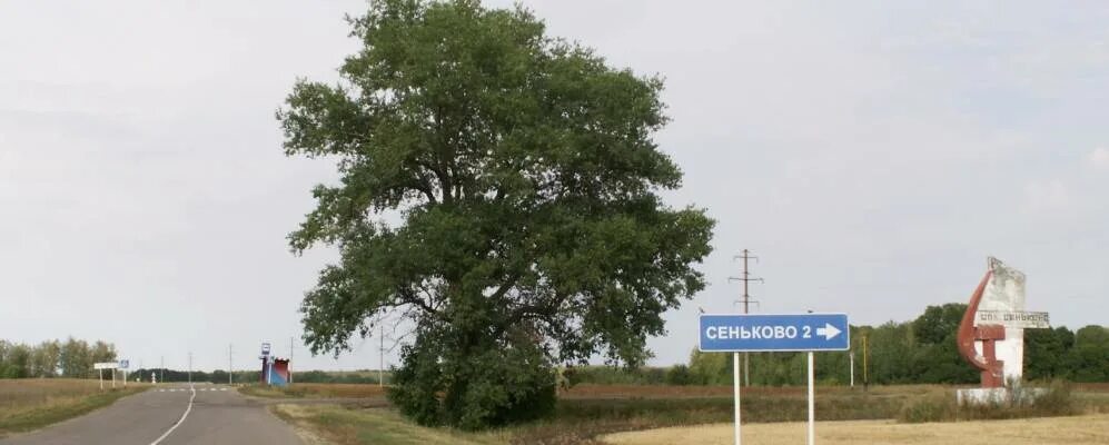 Орловская область Глазуновский район деревня Гремячево. Сеньково Орловская область Глазуновский район. Деревня Степная Глазуновский район Орловская область. Орловская область, Глазуновский р-н, с. Сеньково.