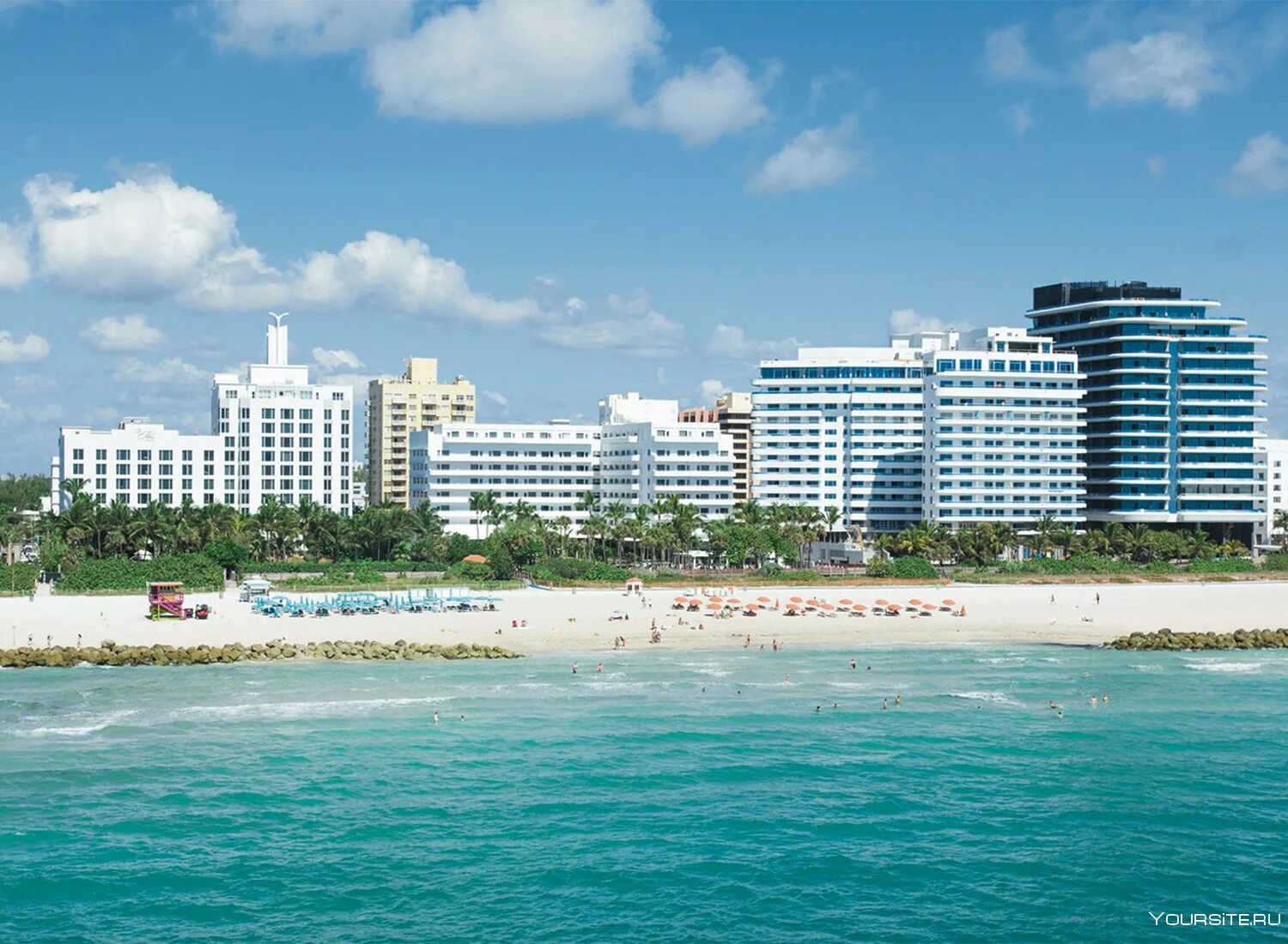 Купить путевку в маями. Отель Риу Майами-Бич. Майами Бич пляж. Майами Бич Новосибирск. Майами Флорида побережье.