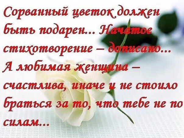 Обиды долго не держу понять. Сорванный цветок должен быть. Обиды долго не держу понять пытаюсь и прощаю. Дарите женщинам цветы стихи.