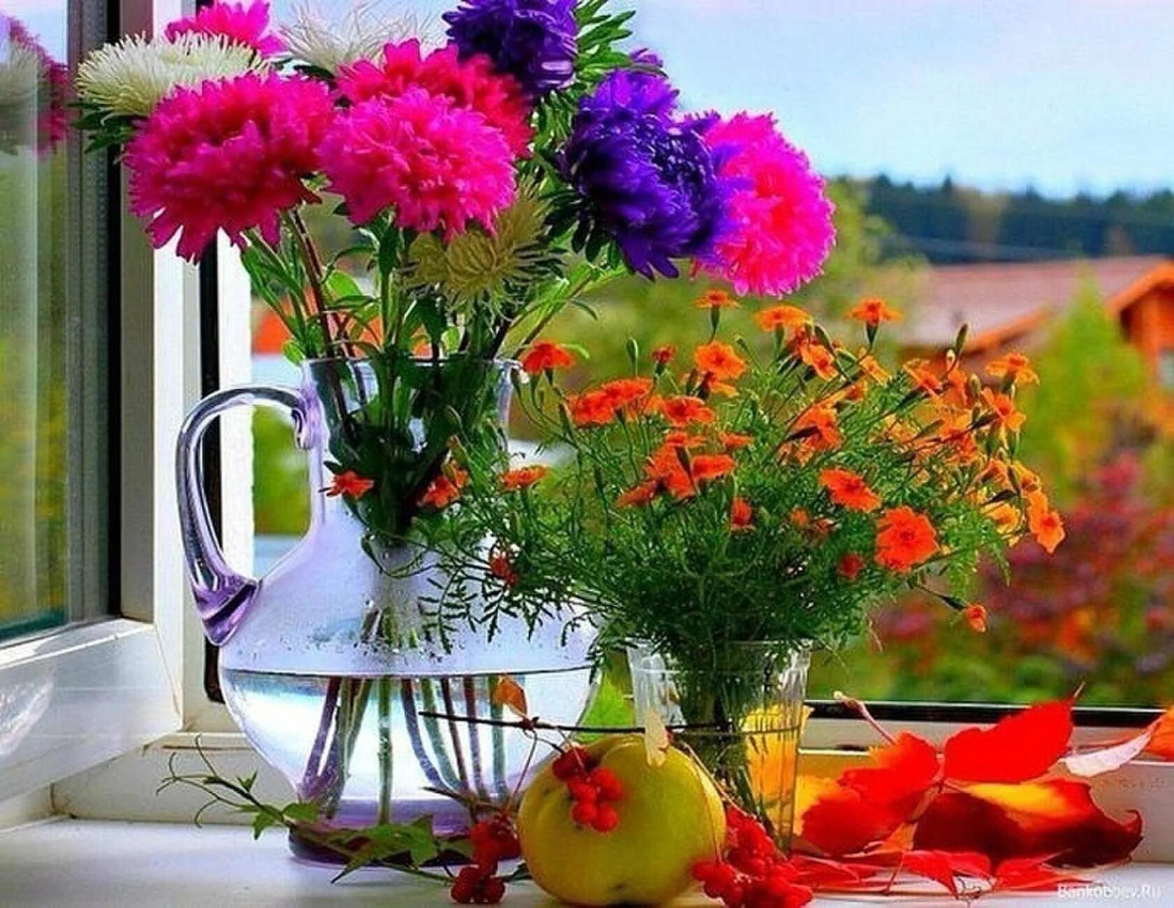 Светы доброе утро. Летние цветы. Цветы на окне. Осенние цветы на окне. Красивый букет на окне.