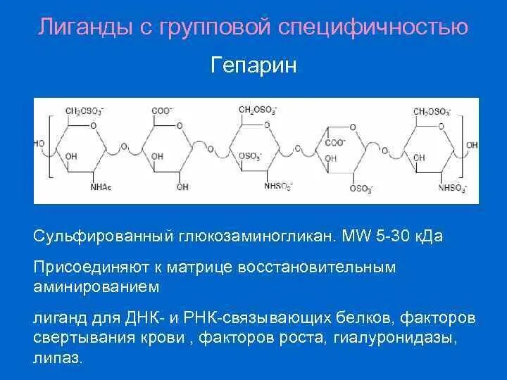 Гистамин и гепарин. Лиганд групповой специфичности. Лиганды групповой специфичности. Специфичности.. Лигандов лиганд групповой специфичности:. Синтез гепарина.