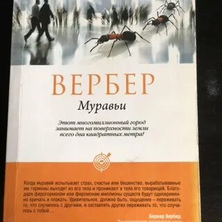 Вебер муравьи