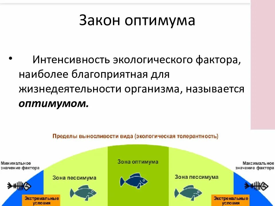 Экологические факторы среды 9 класс биология. Закон оптимума экология. Экологические факторы. Экологические факторы и их влияние. Факторы окружающей среды и их влияние на организм.