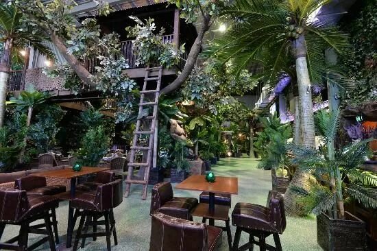 Отзыв о Кафе "Jungle" (Россия, Санкт-Петербург) Отличное место с неповторимым чу